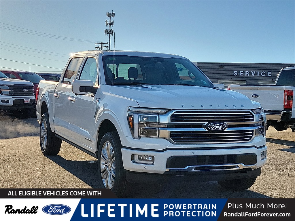 2025 Ford F-150 Platinum's photo