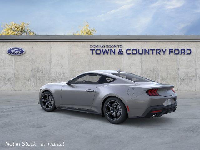2025 Ford Mustang EcoBoost photo 14