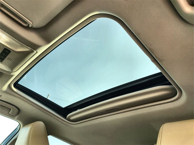 2025 Toyota RAV4 XLE Premium photo 13
