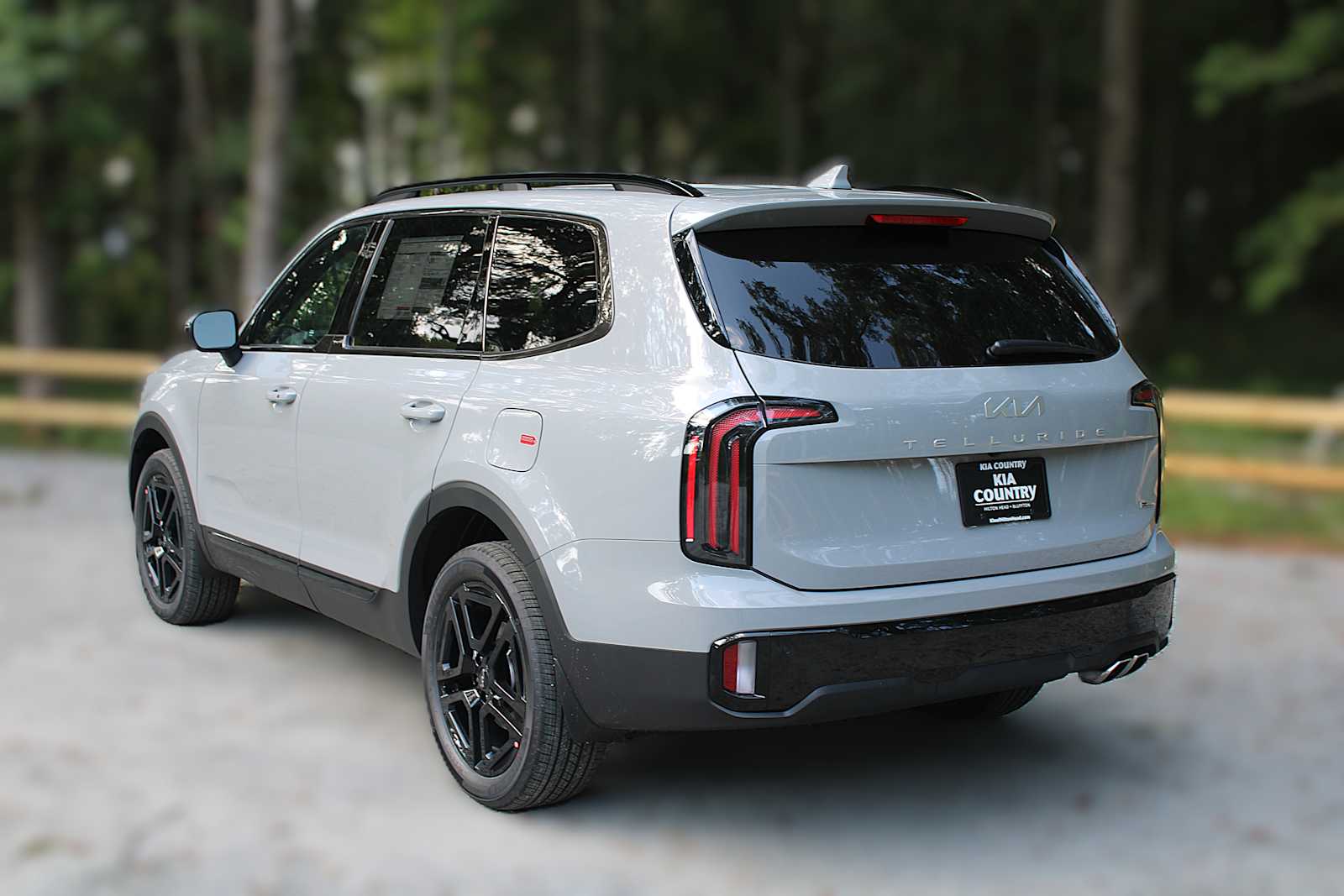 2025 Kia Telluride EX X-Line photo 6