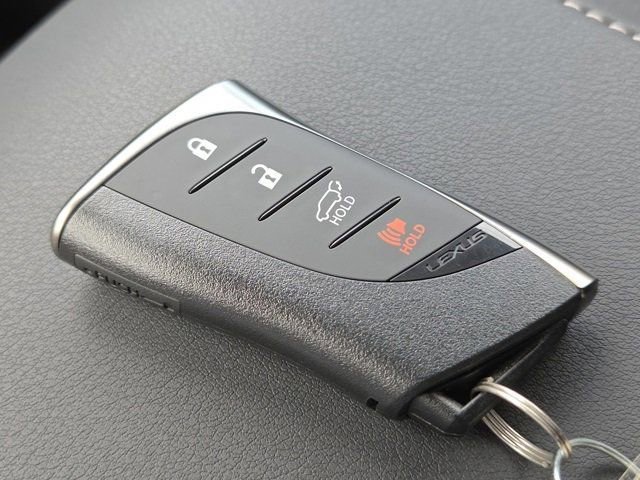 2025 Lexus RX 350 Premium photo 29