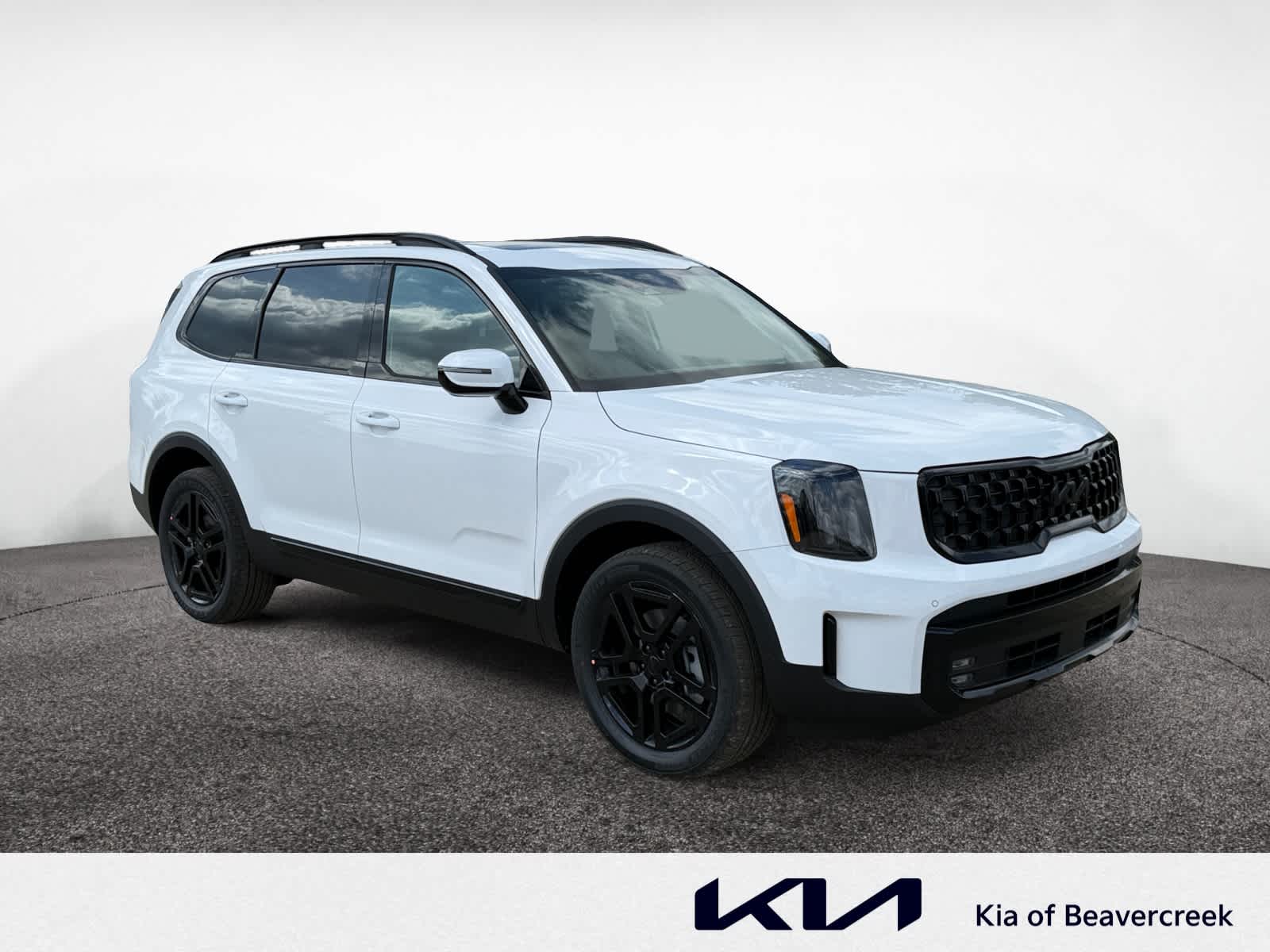 2025 Kia Telluride SX Prestige X-Line photo 6