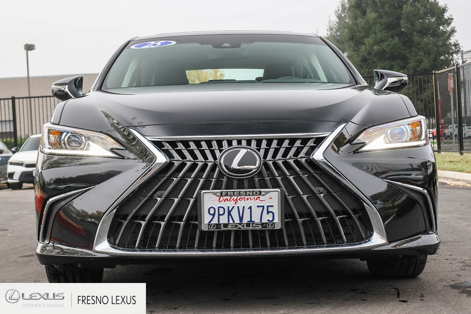 2025 Lexus ES 300h photo 2