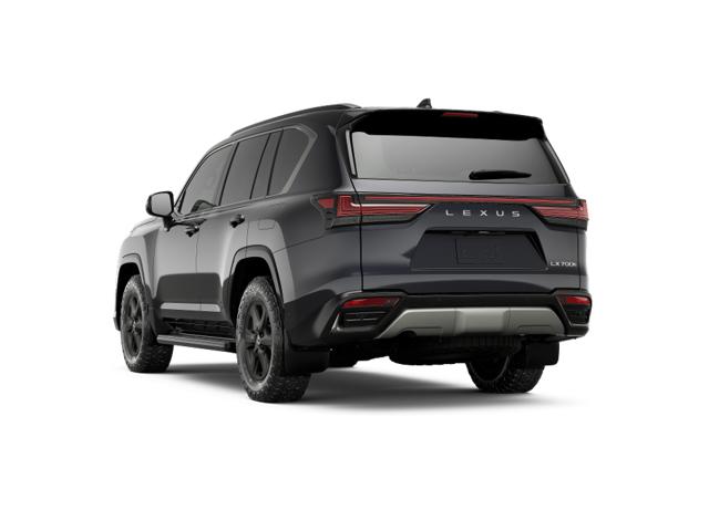 2025 Lexus LX photo 3