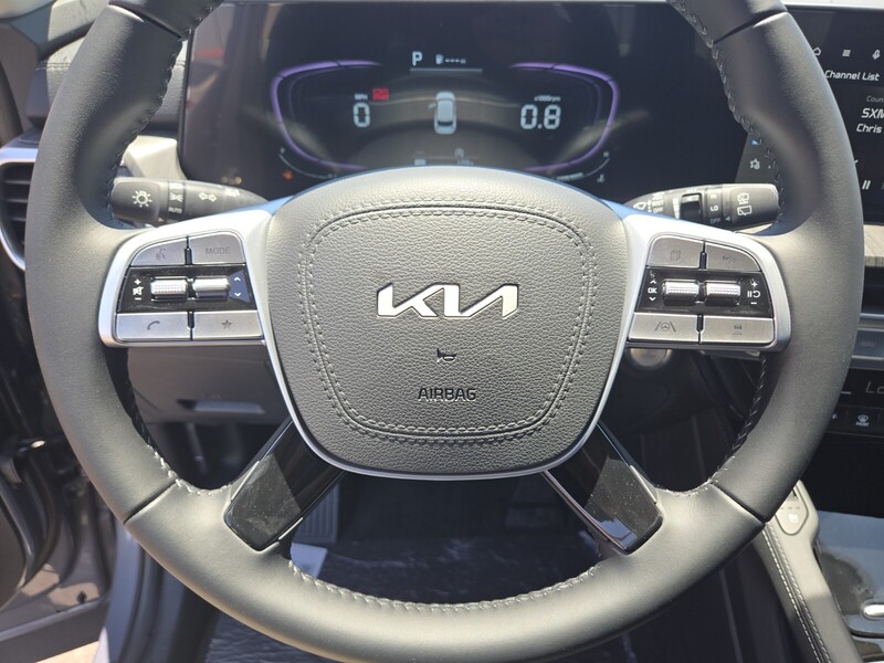 2025 Kia Telluride EX photo 11