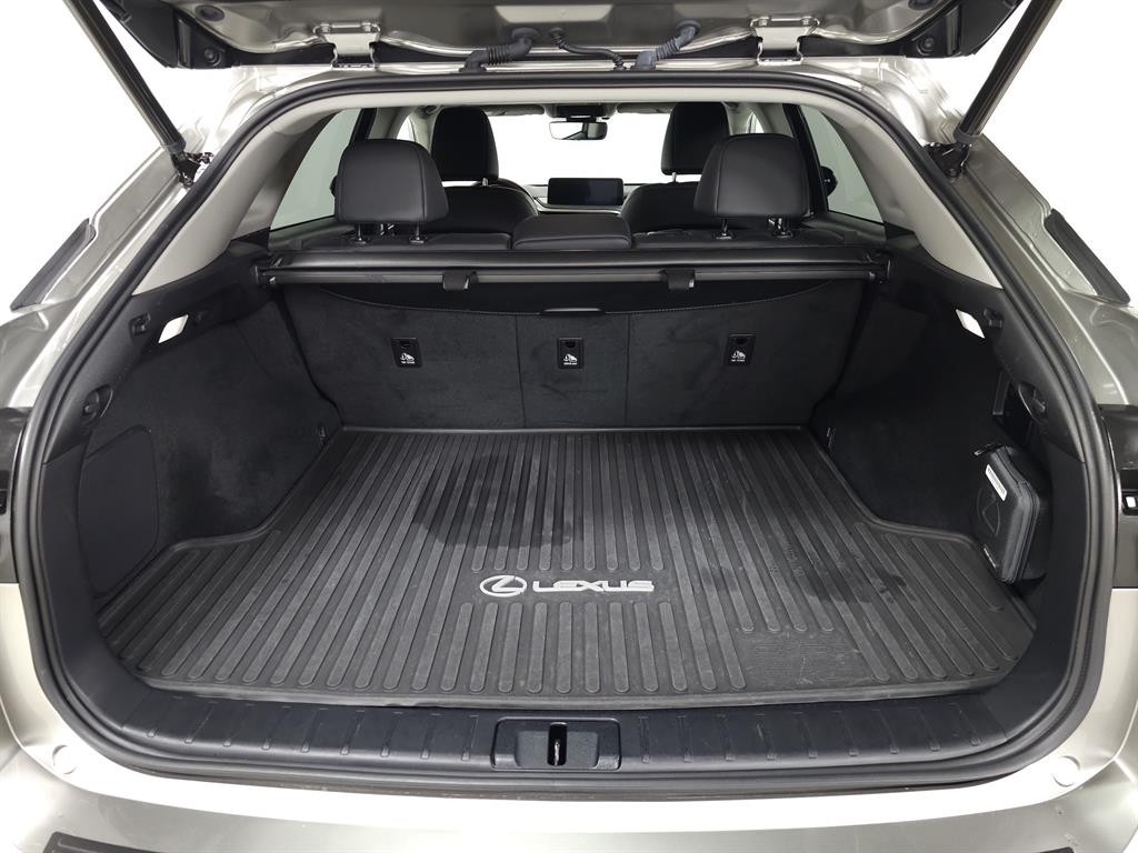 2022 Lexus RX Premium photo 8