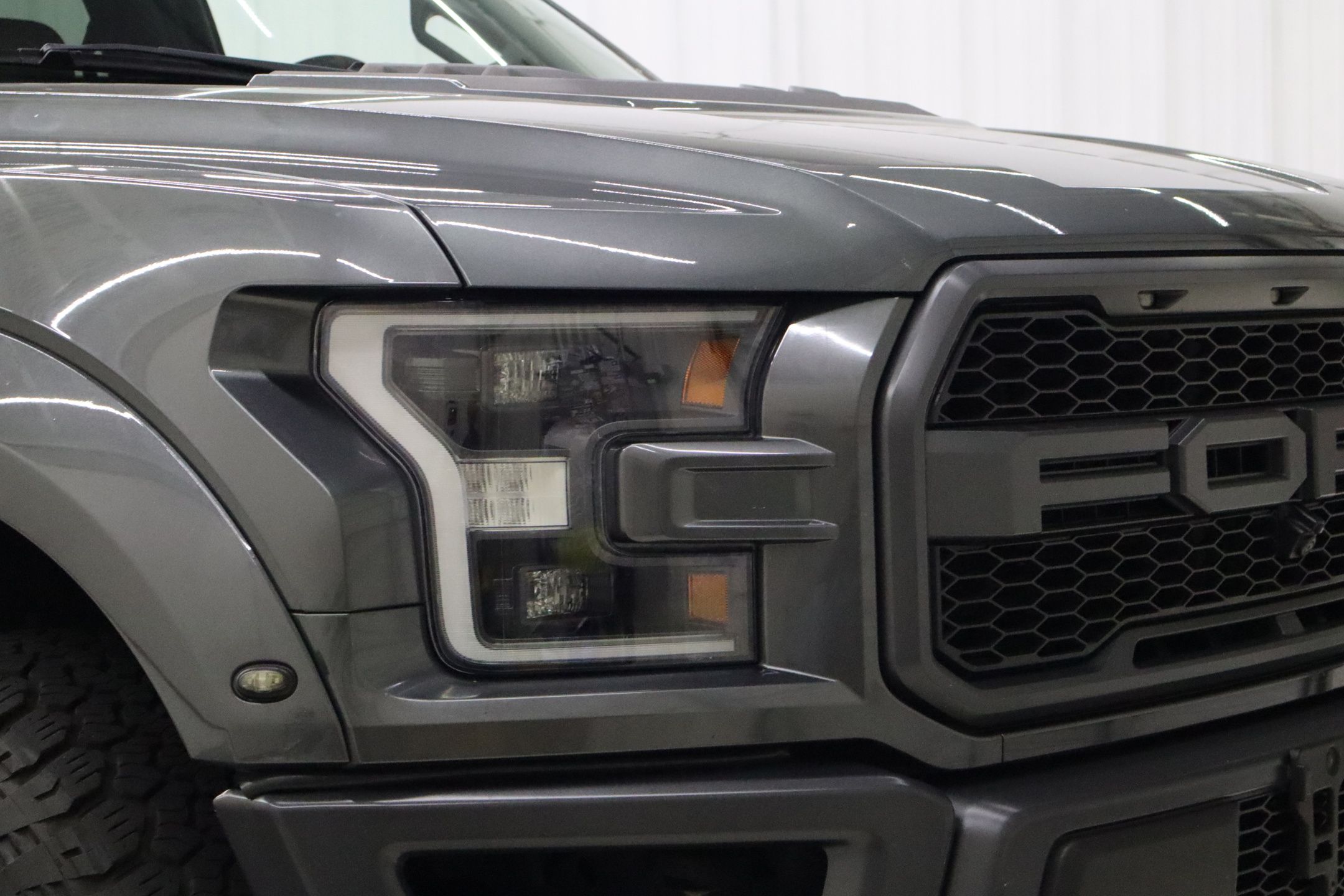 2018 Ford F-150 Raptor photo 8
