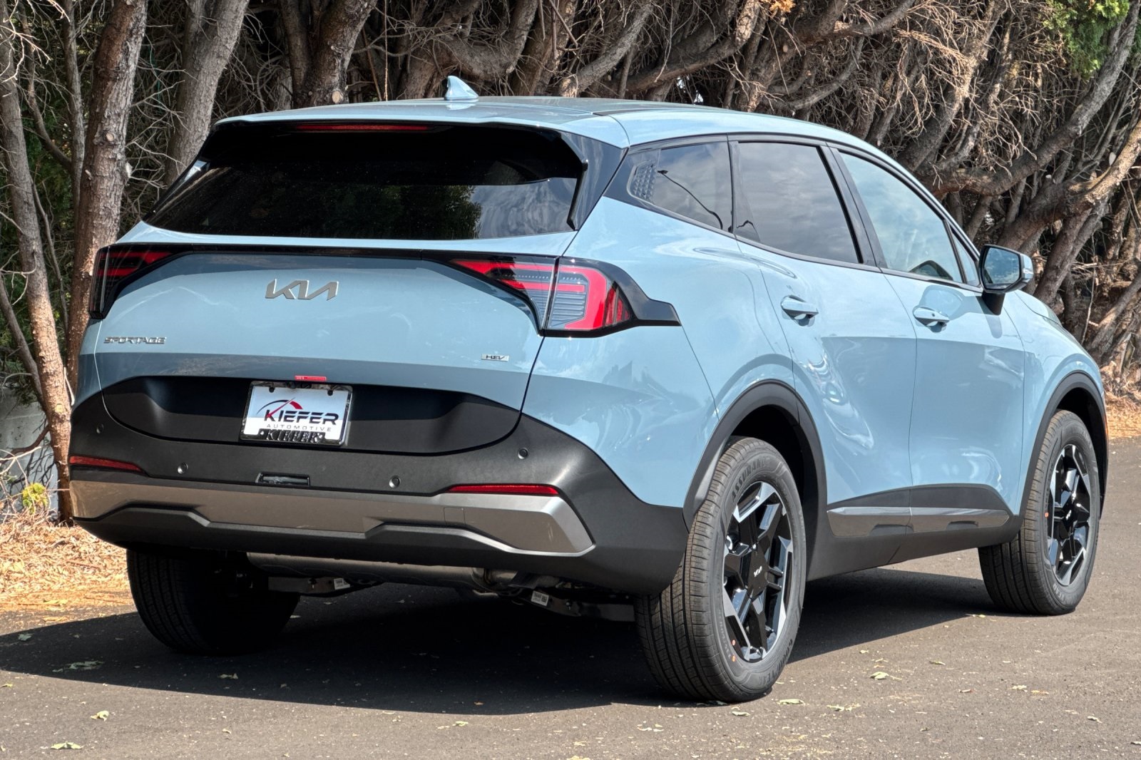 2026 Kia Sportage Hybrid S photo 3