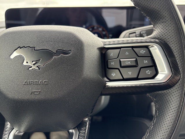 2025 Ford Mustang GT Premium photo 15