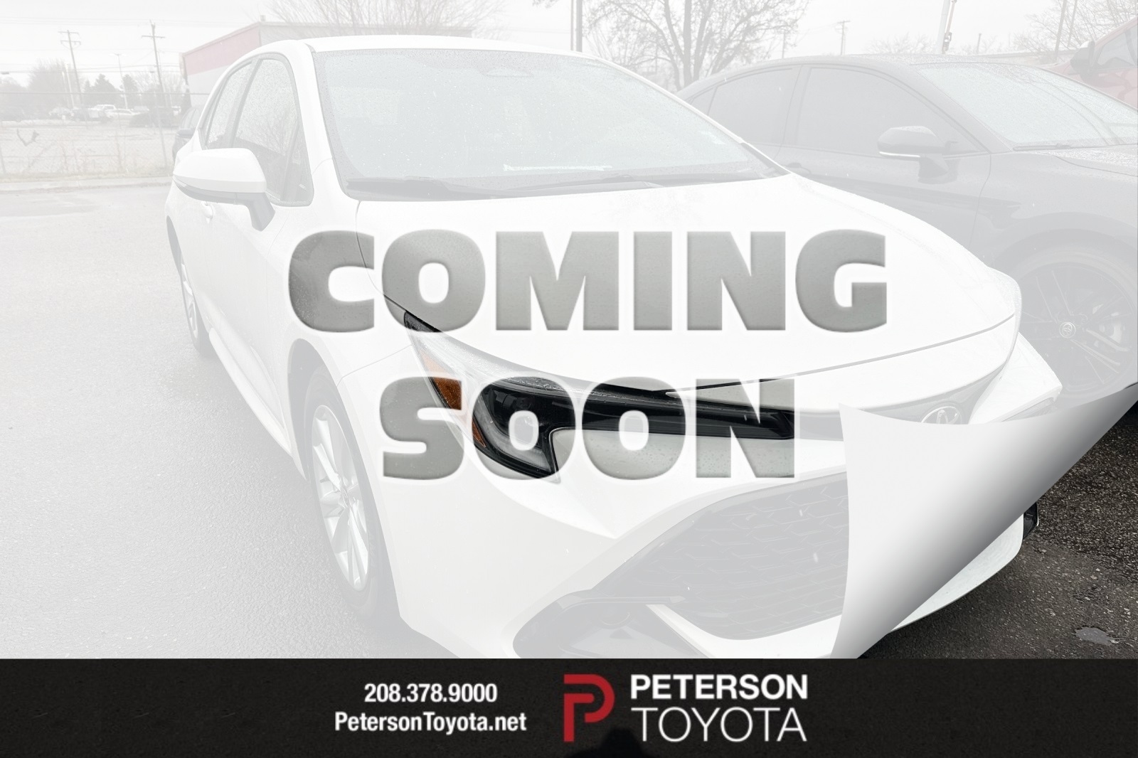 2024 Toyota Corolla Hatchback SE's photo