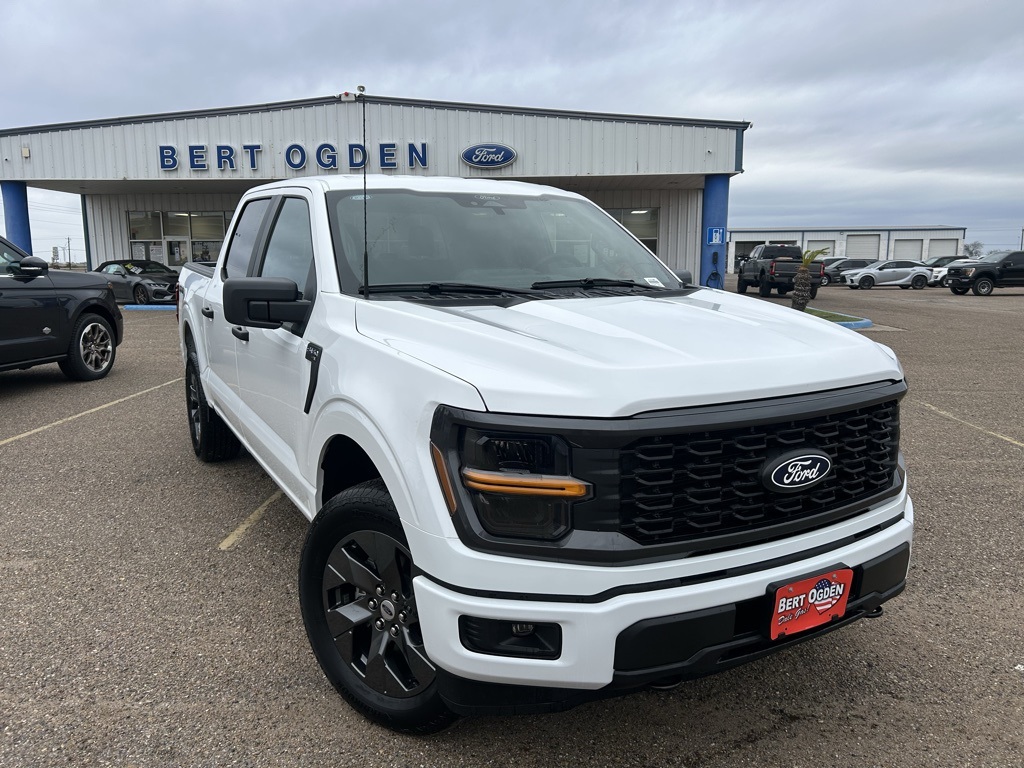 2025 Ford F-150 STX's photo
