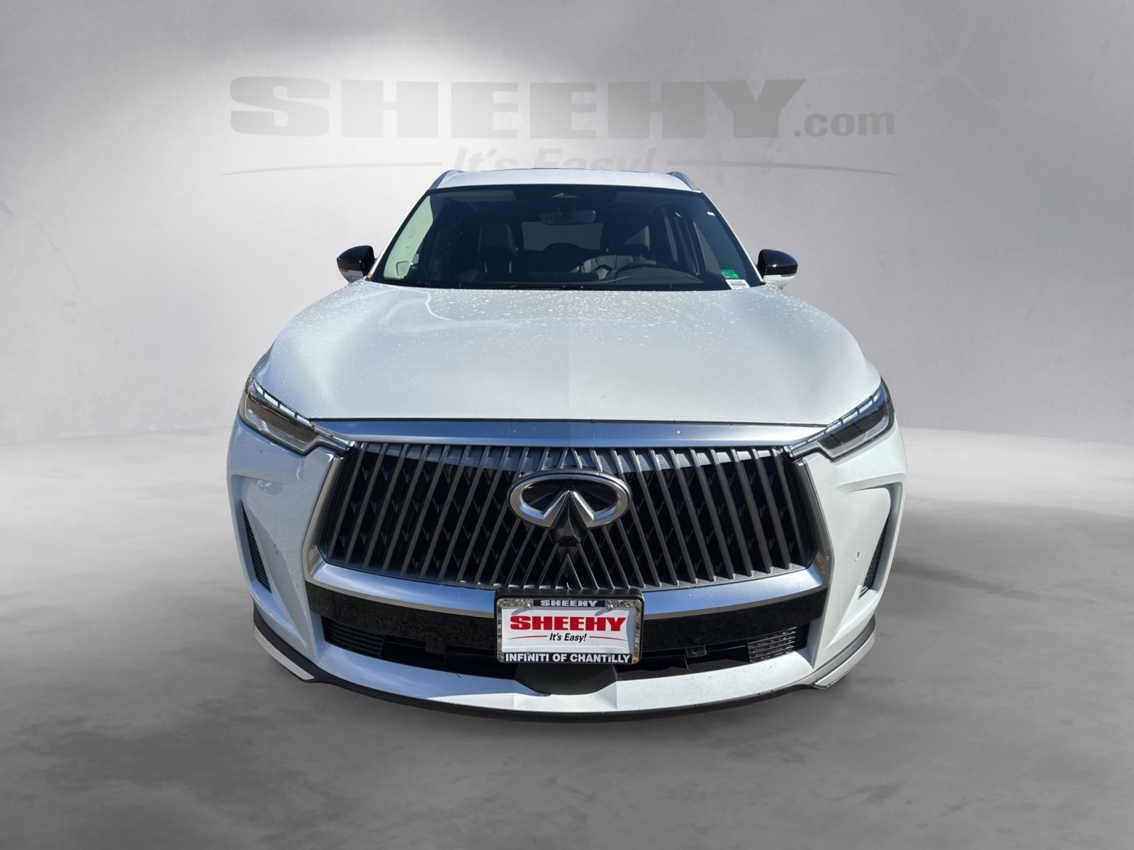 2026 Infiniti QX60 Luxe AWD photo 2