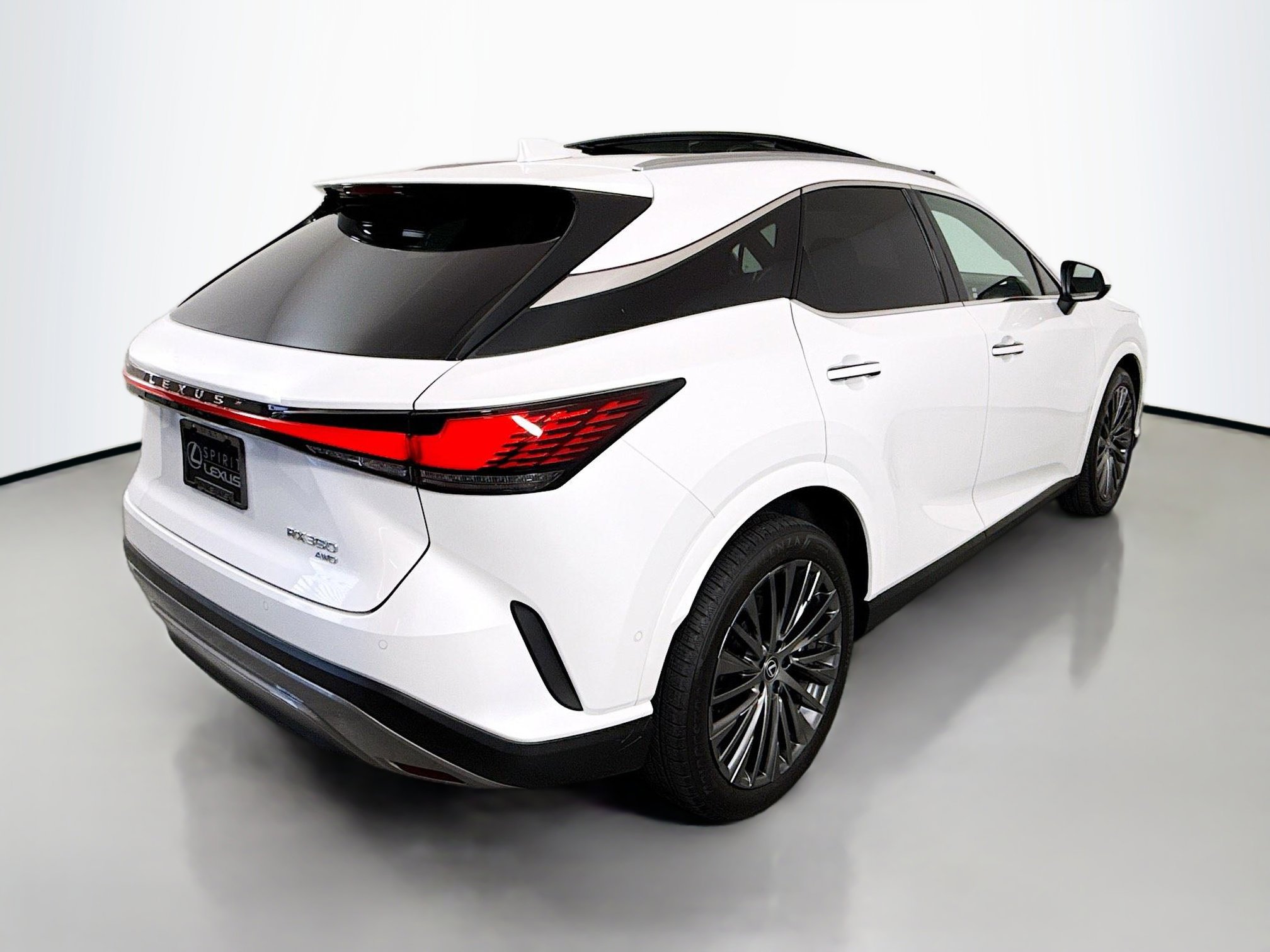 2023 Lexus RX 350 Luxury photo 7