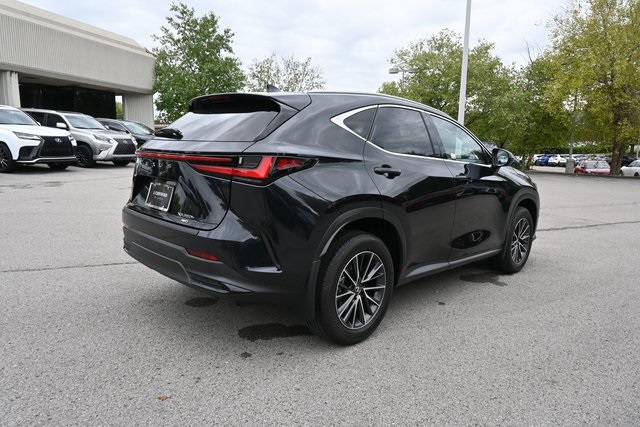 2024 Lexus NX 350h Luxury photo 3