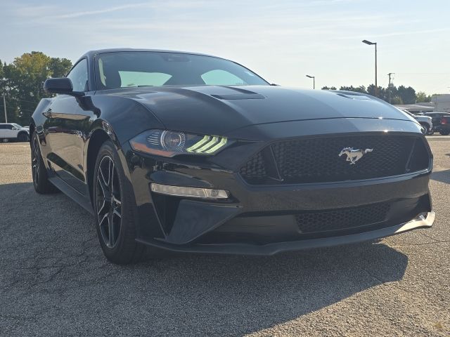 2023 Ford Mustang GT photo 7