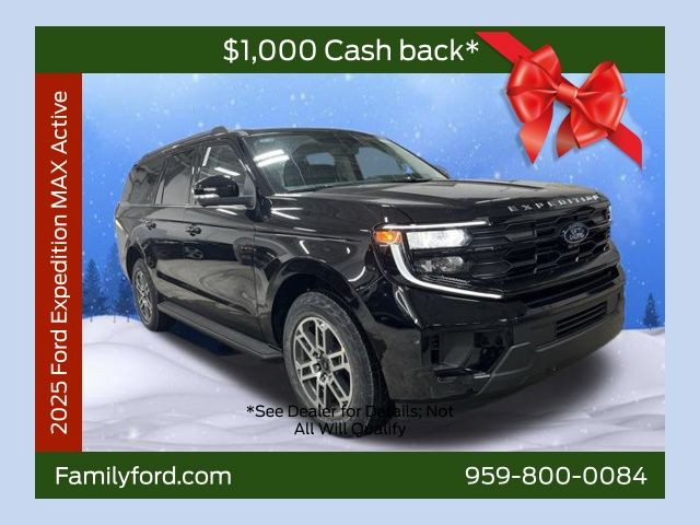 2025 Ford Expedition Active's photo