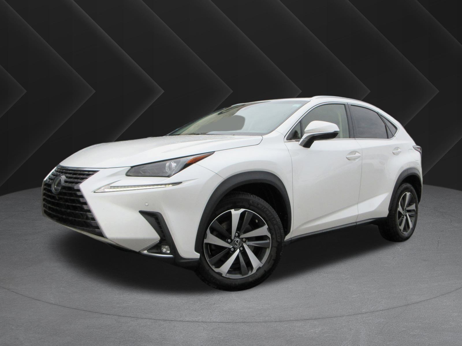 2018 Lexus NX 300's photo