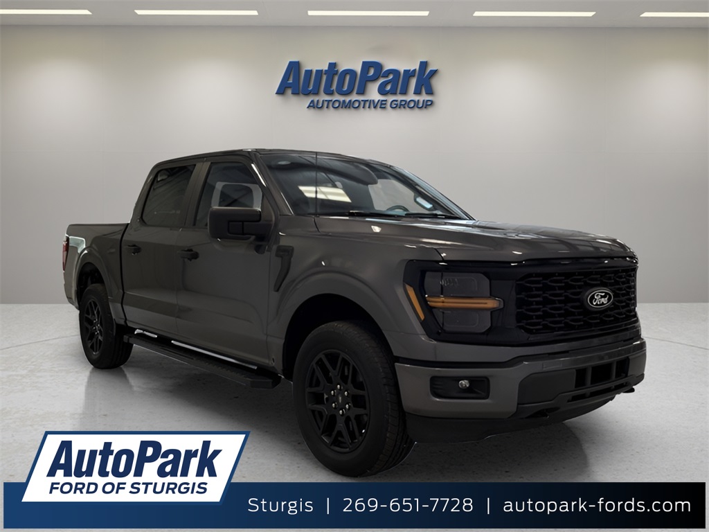 2025 Ford F-150 STX's photo