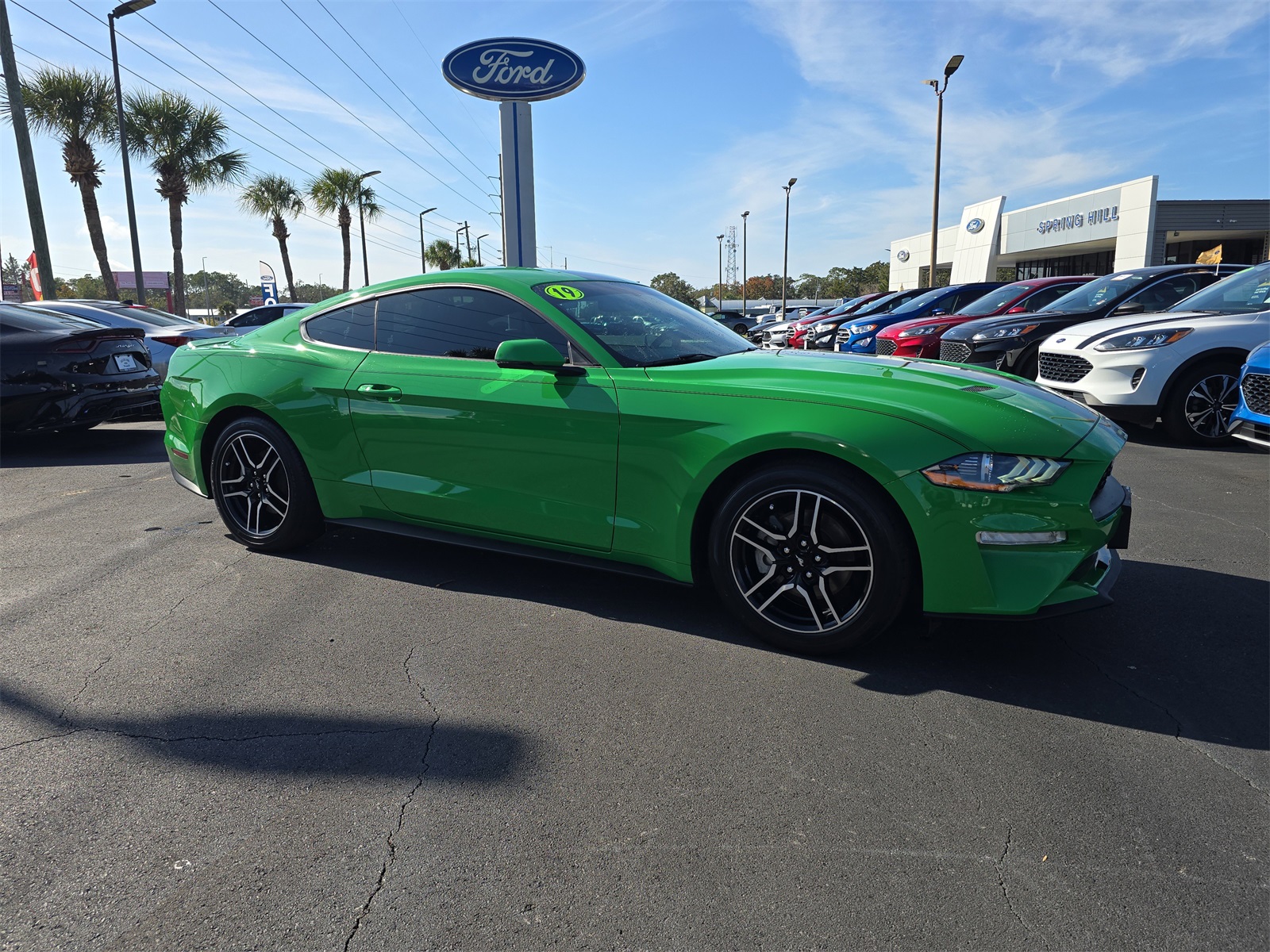 Used 2019 Ford Mustang EcoBoost Premium with VIN 1FA6P8TH8K5194116 for sale in Spring Hill, FL