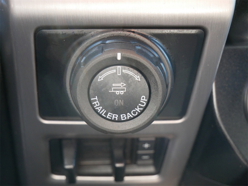 2019 Ford F-150 Platinum photo 16