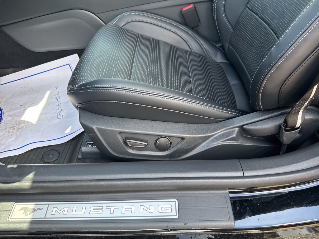 2025 Ford Mustang EcoBoost Premium photo 17