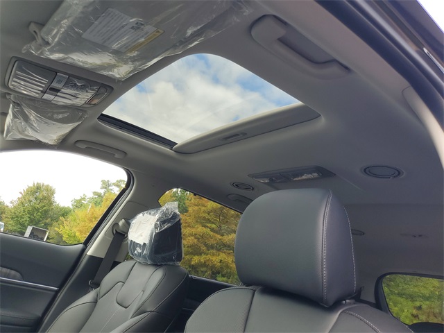 2025 Kia Telluride X-Line EX X-Pro photo 15