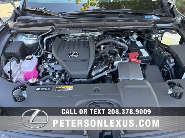 2025 Lexus RX 350 Premium photo 9