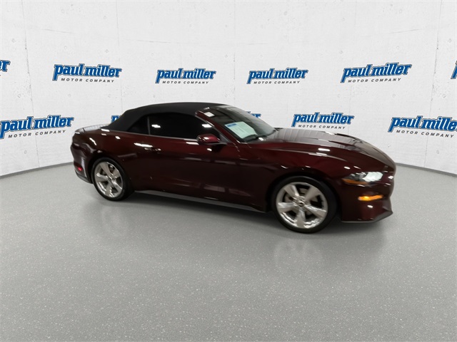 2018 Ford Mustang EcoBoost photo 13