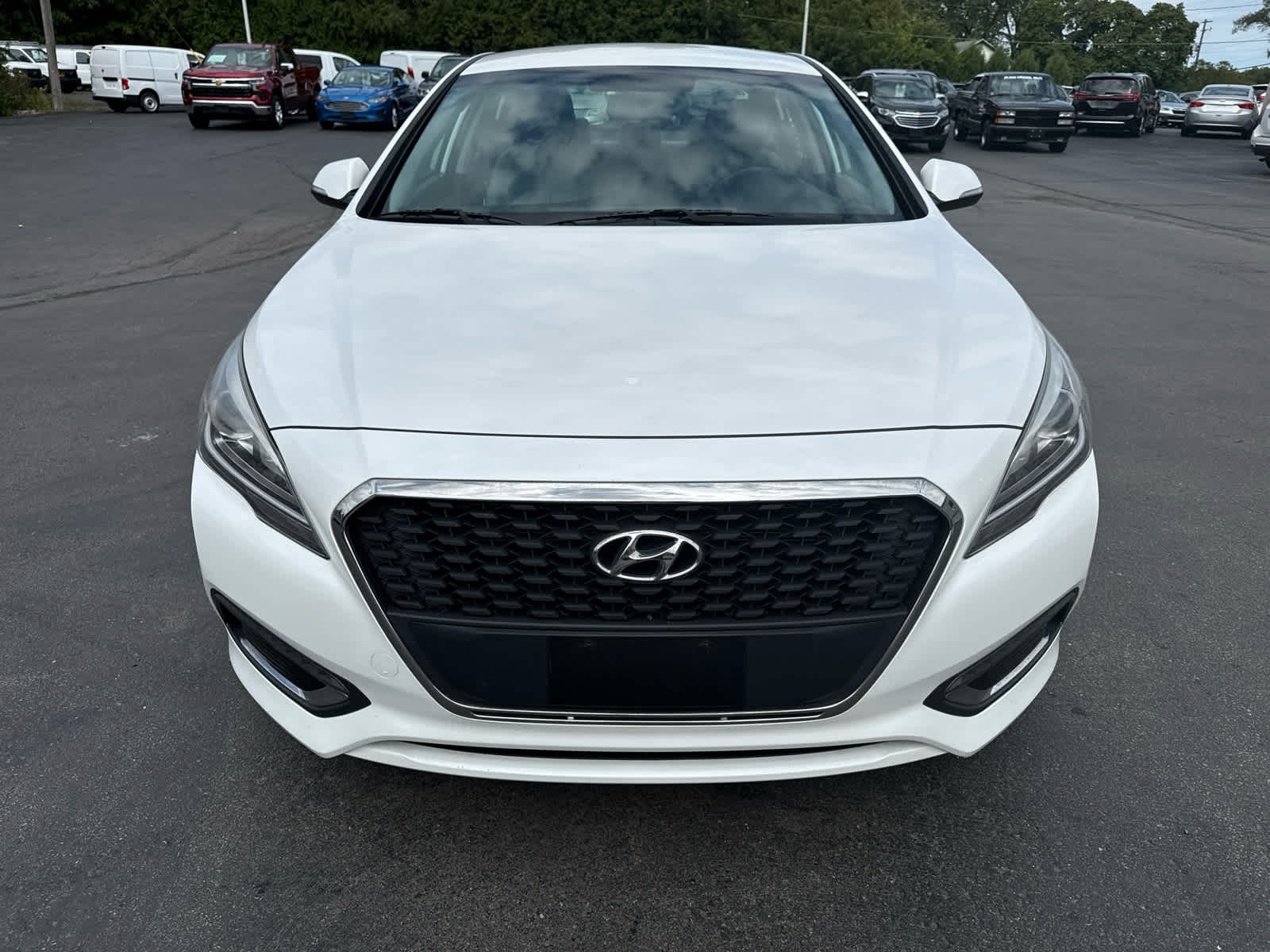 2016 Hyundai Sonata Hybrid SE photo 7