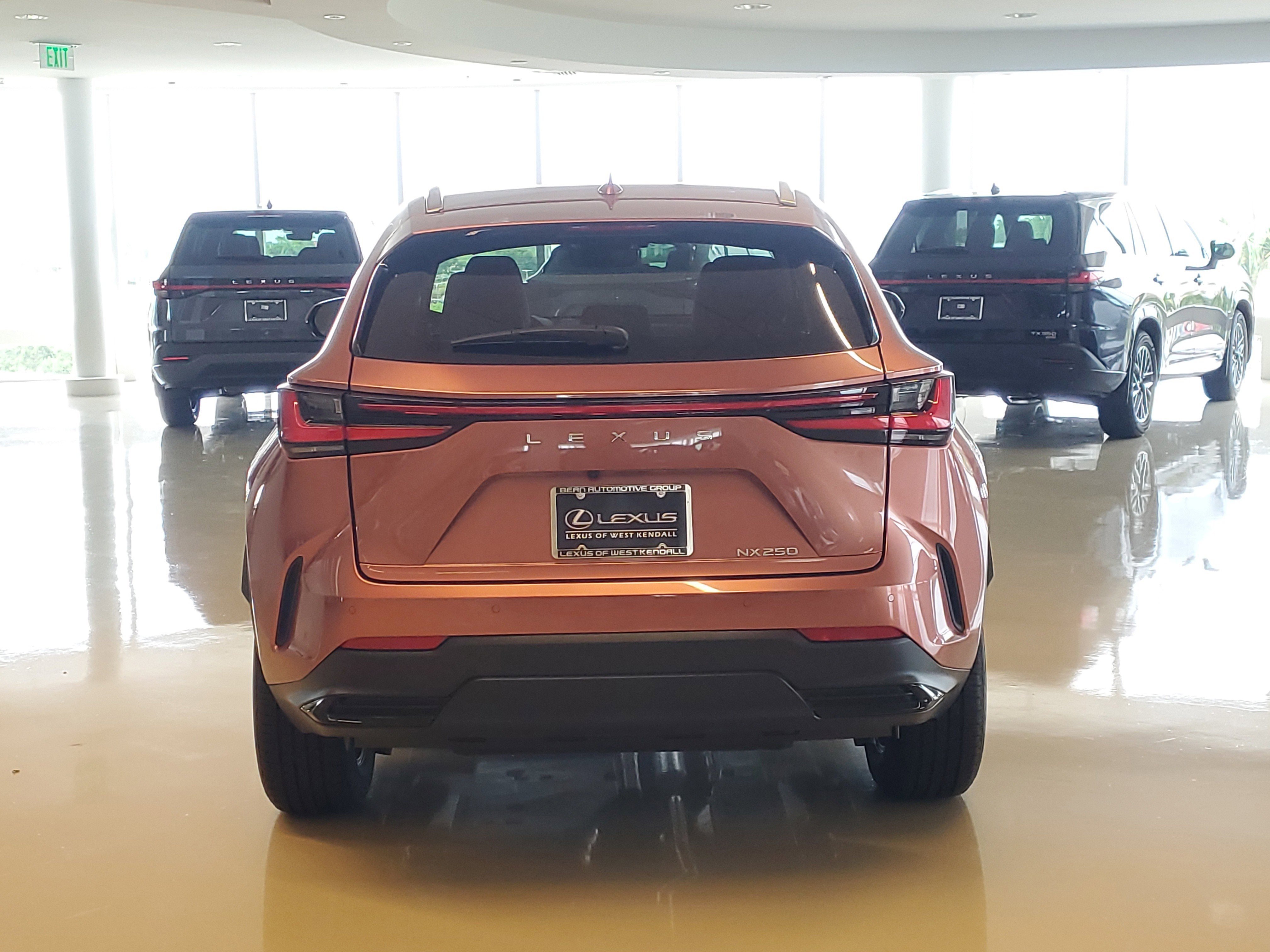 2025 Lexus NX 250 photo 9
