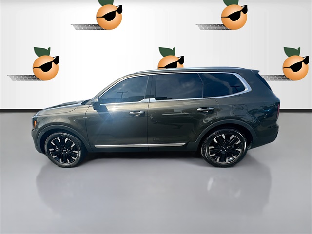 2023 Kia Telluride SX X-Line Prestige X-Pro photo 2