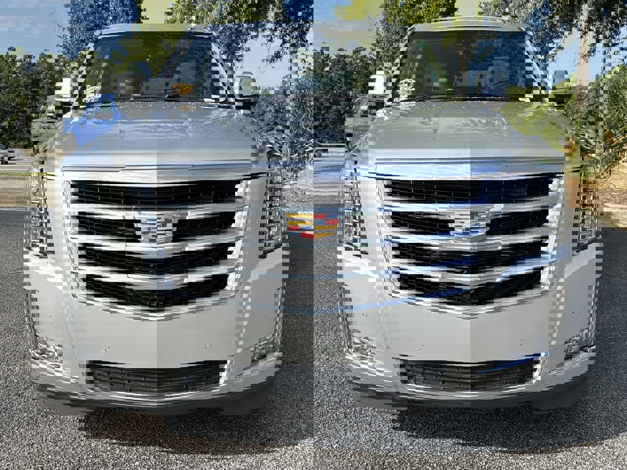 2020 Cadillac Escalade ESV Luxury photo 2