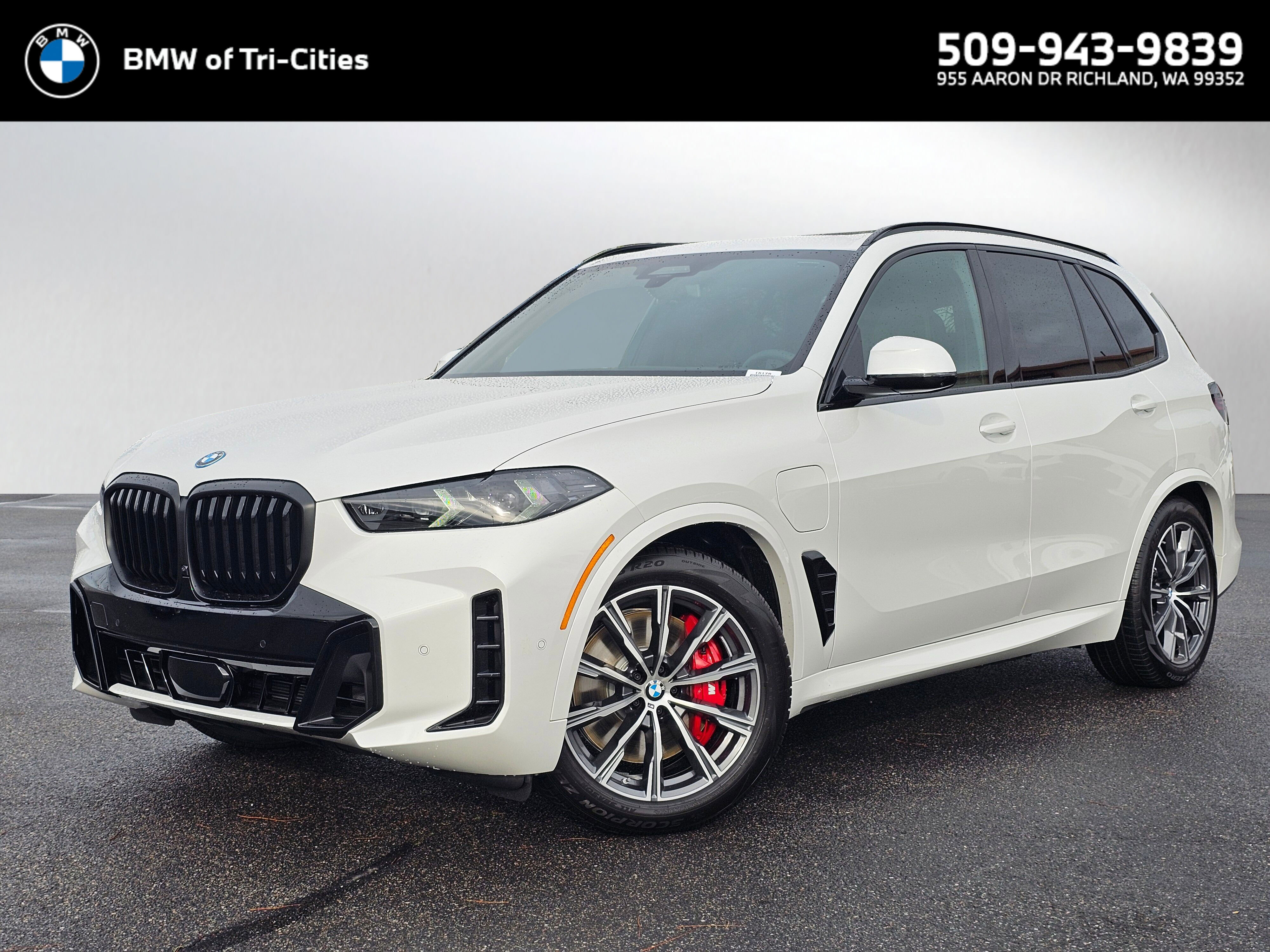 2026 BMW X5 50e's photo