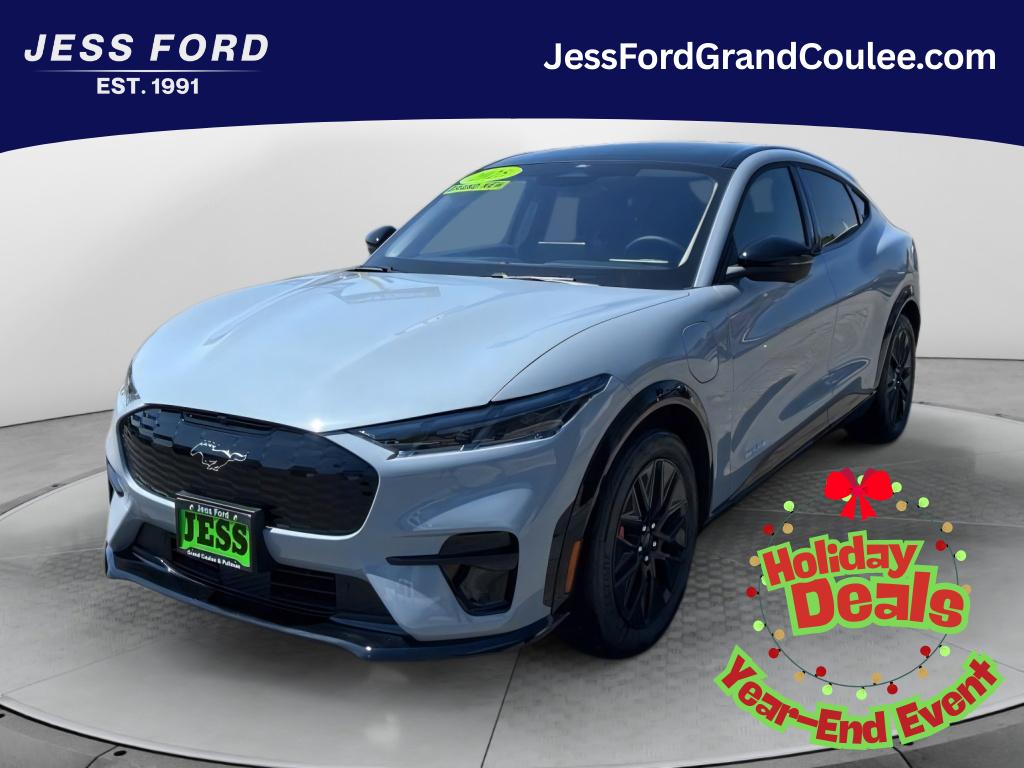 2025 Ford Mustang Mach-E Premium AWD's photo