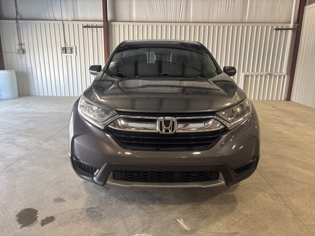 2017 Honda CR-V LX photo 3
