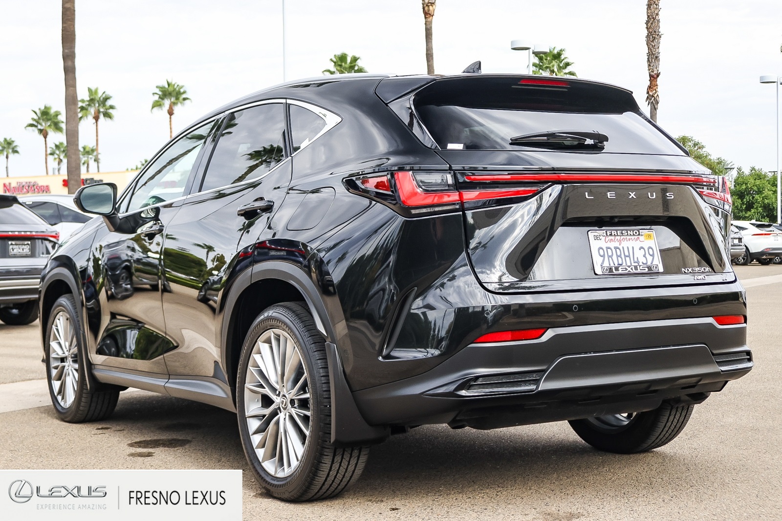 2025 Lexus NX 350h Luxury photo 4