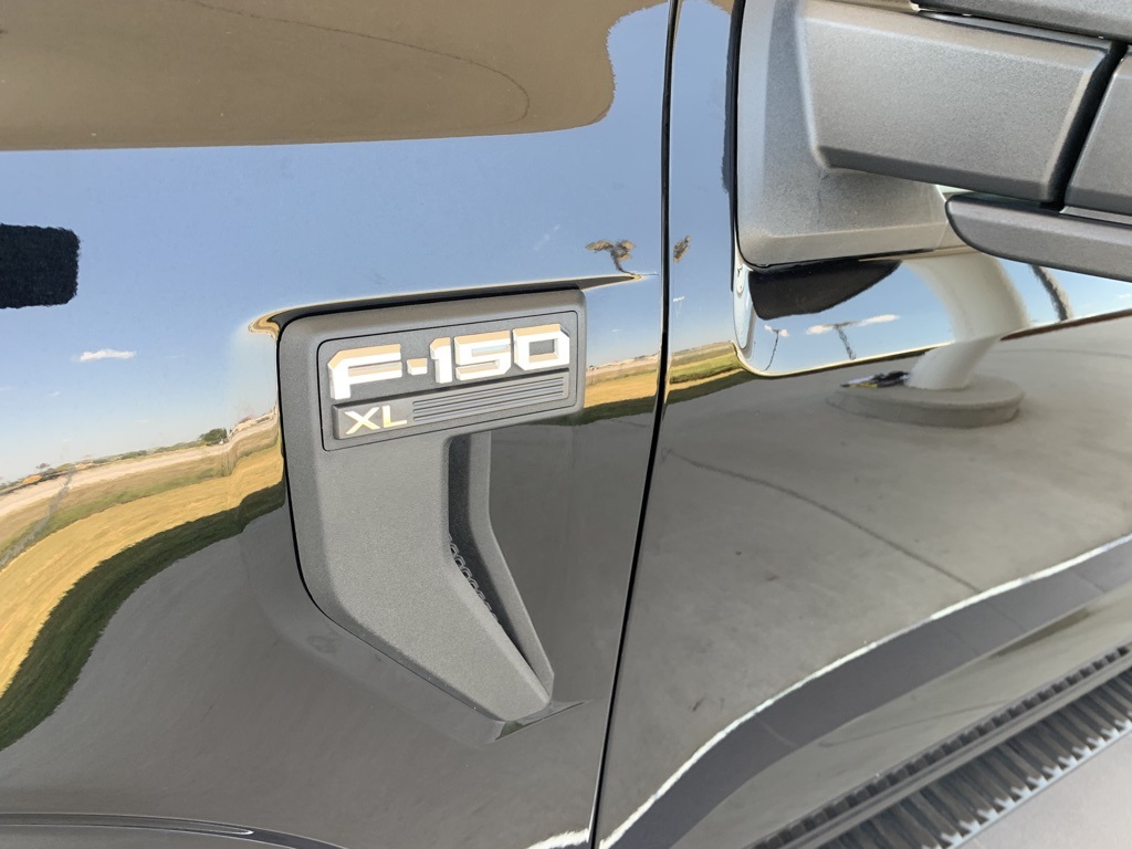 2021 Ford F-150 XL photo 9