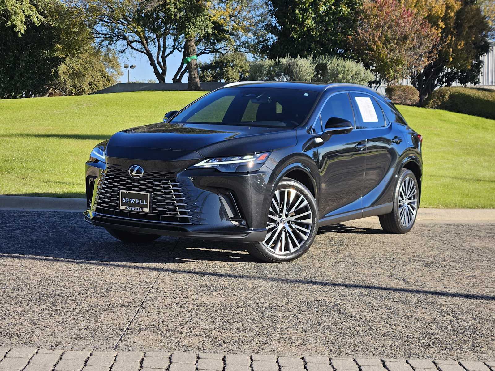 2023 Lexus RX 350's photo