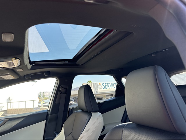 2024 Lexus NX 350 Premium photo 6