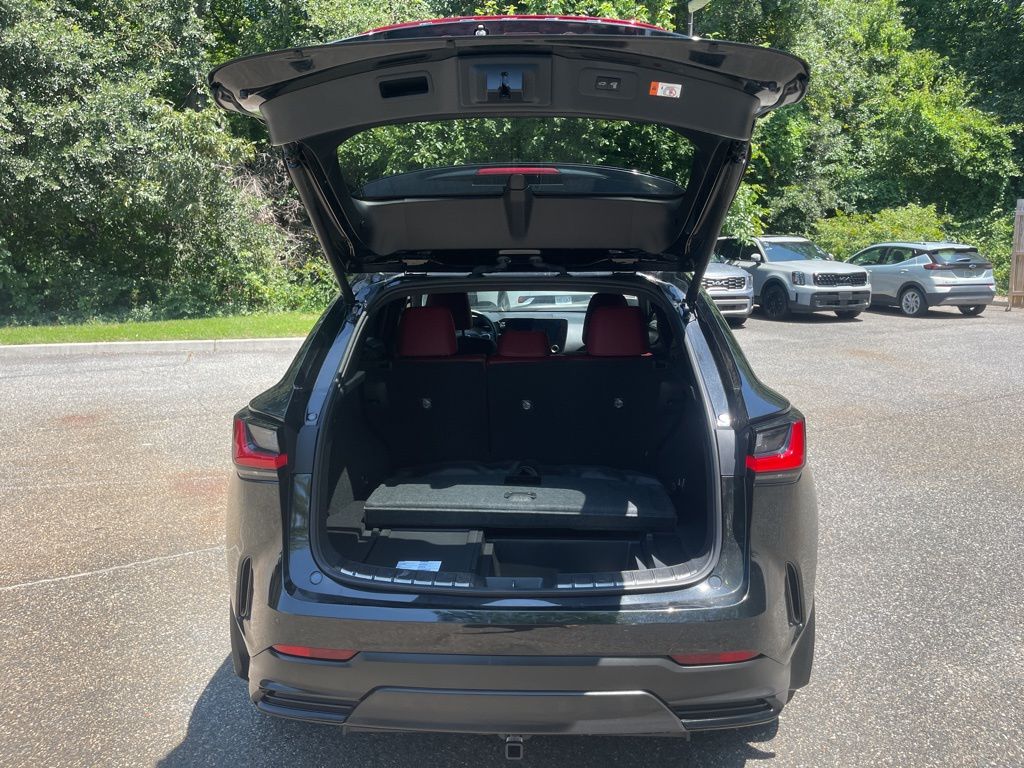2024 Lexus NX 450h+ Luxury photo 16