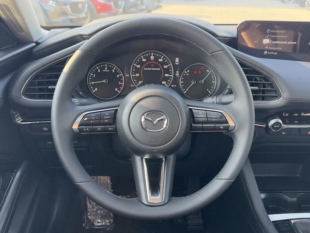 2025 Mazda Mazda3 2.5 Carbon Turbo photo 17
