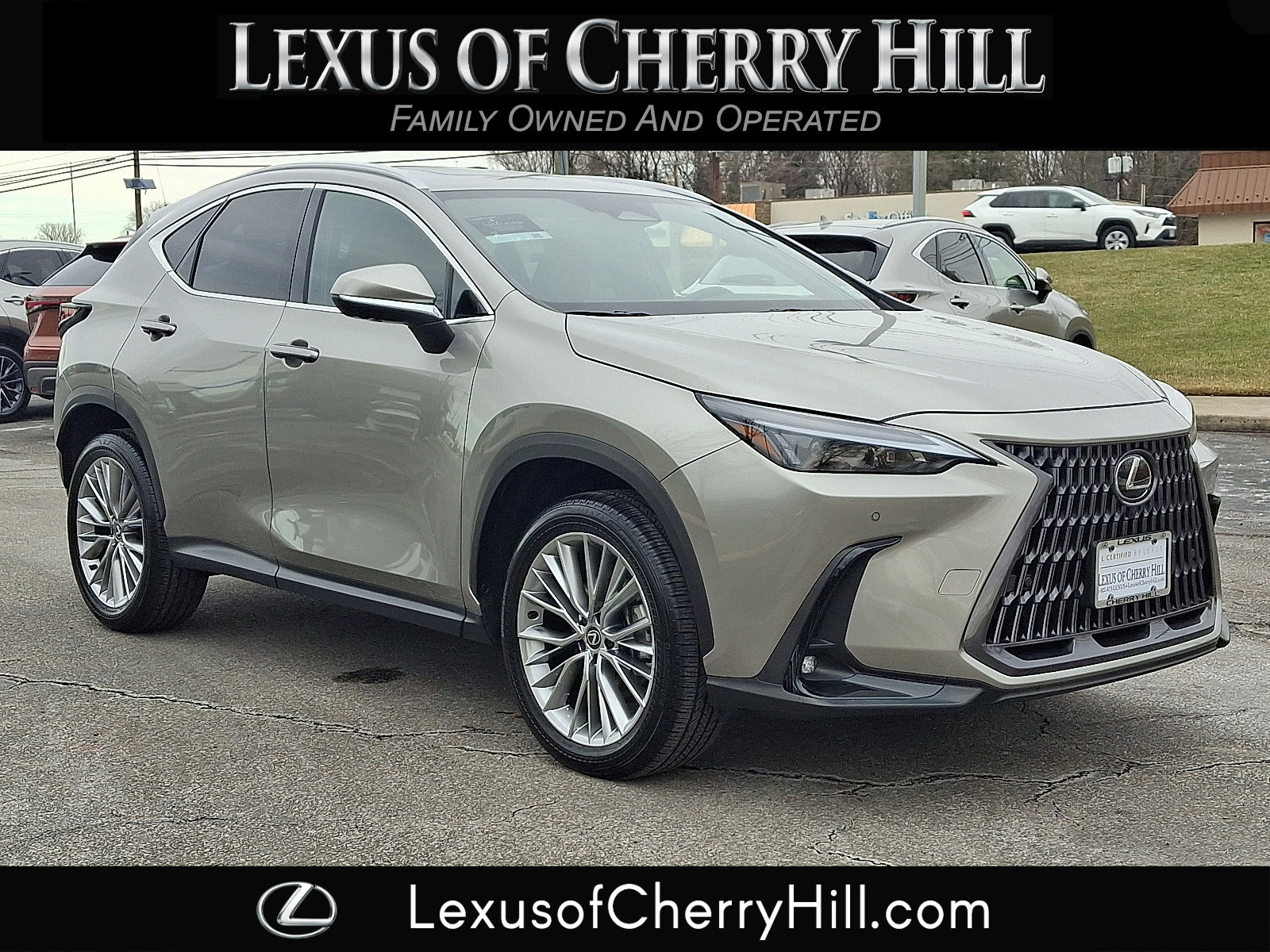 2025 Lexus NX 350