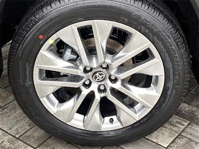 2025 Toyota RAV4 Limited photo 3