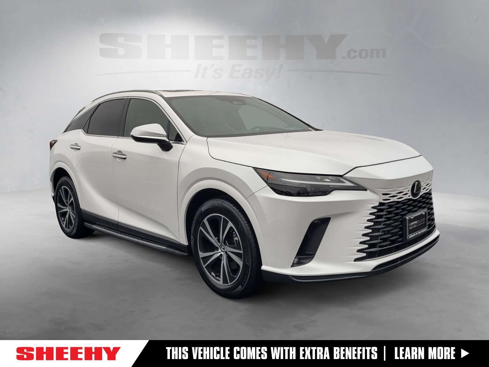 2024 Lexus RX 350's photo