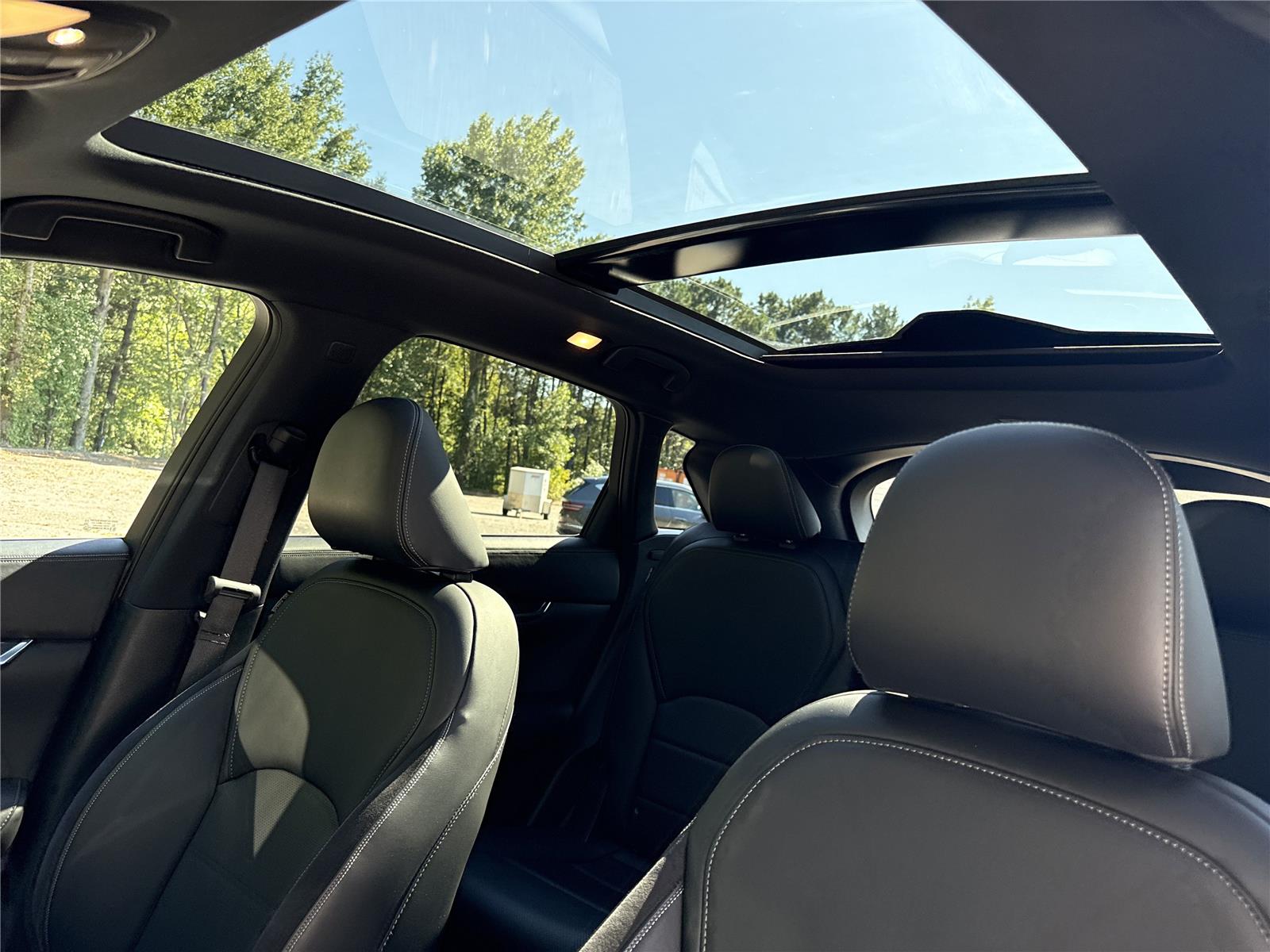 2024 Infiniti QX50 SPORT photo 21