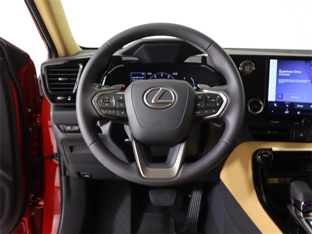 2025 Lexus NX 250 photo 20