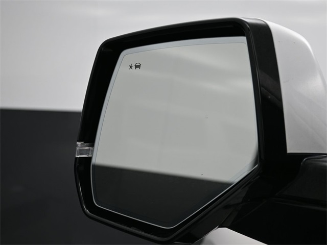 2020 Cadillac Escalade ESV Platinum photo 4