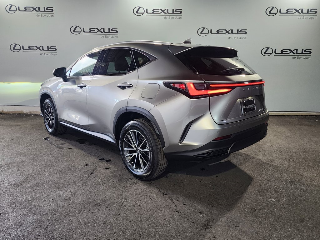 2025 Lexus NX 350 photo 6
