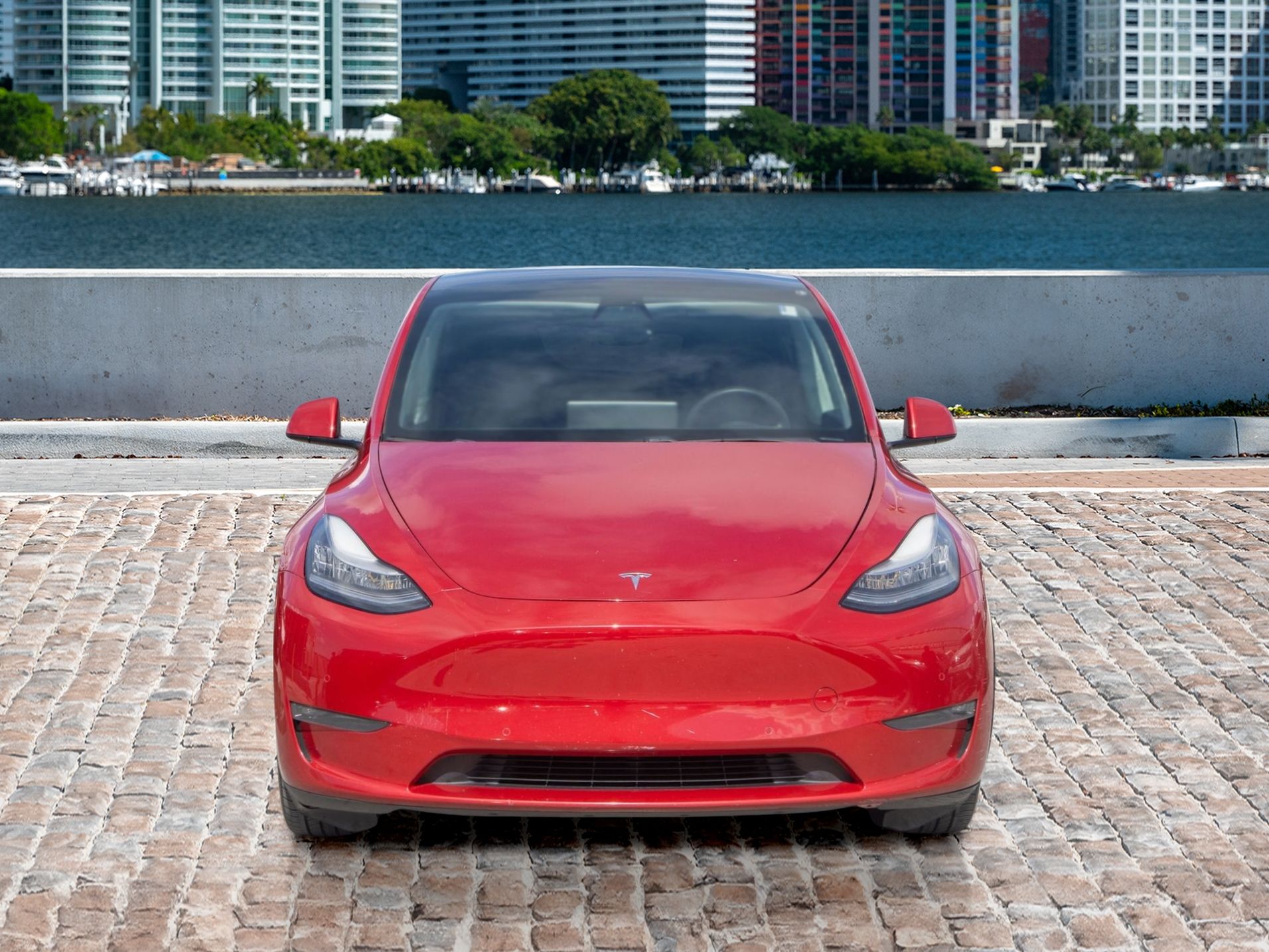2020 Tesla Model Y Long Range photo 2