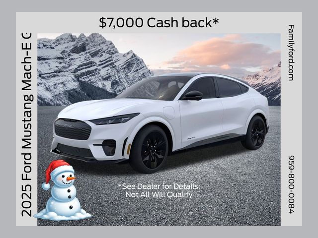 2025 Ford Mustang Mach-E GT AWD's photo